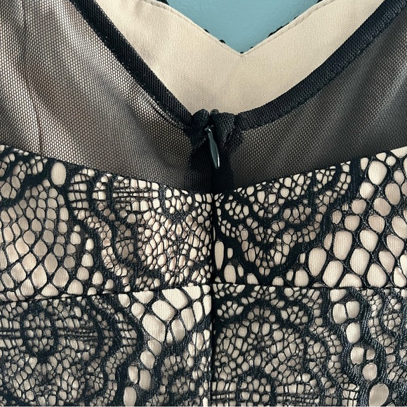 Jump Apparel Lace Overlay Fashion Dress - Picture 9 of 12